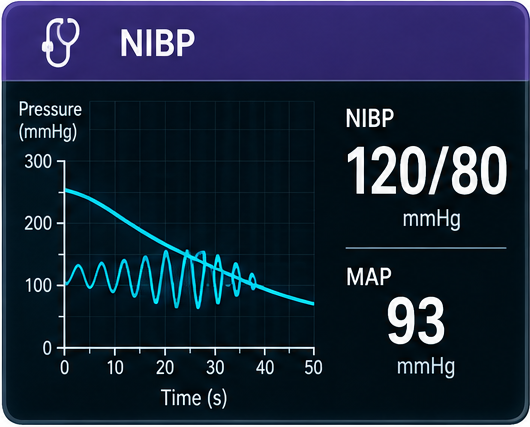 Blood pressure (NIBP) waveform monitoring